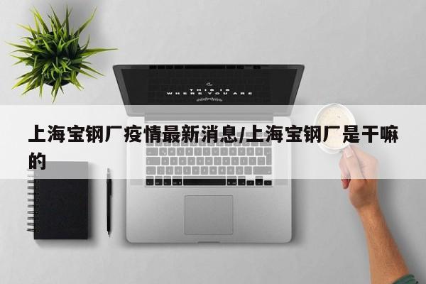 上海宝钢厂疫情最新消息/上海宝钢厂是干嘛的