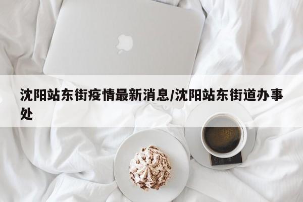 沈阳站东街疫情最新消息/沈阳站东街道办事处
