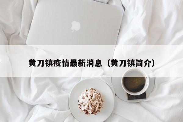 黄刀镇疫情最新消息（黄刀镇简介）