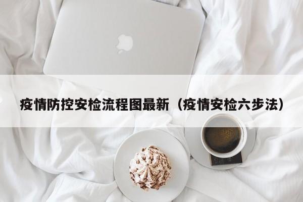 疫情防控安检流程图最新（疫情安检六步法）